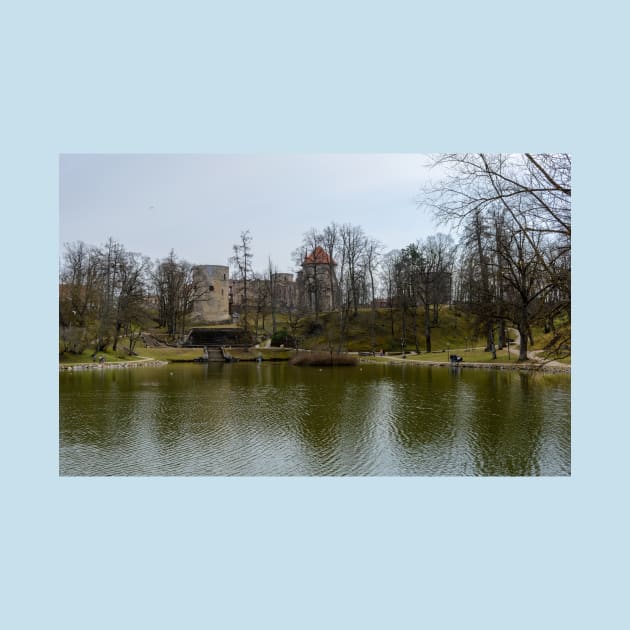 The pond and ruins of medieval castle by lena-maximova