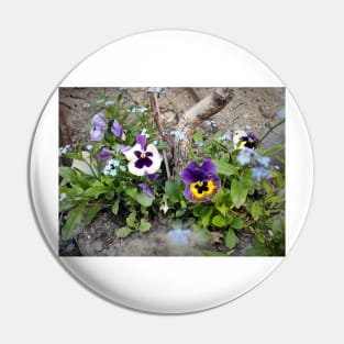 pansies Pin