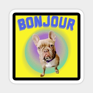 Isabella french bulldog Magnet