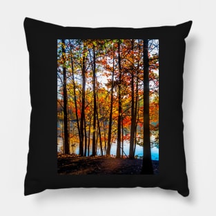 Colorful Contrasted Trees Pillow