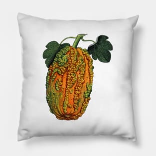 harvest Pillow