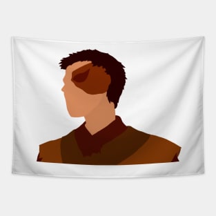 Prince Zuko Tapestry