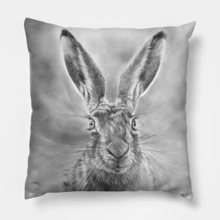 Spring Hare Pillow