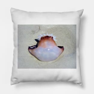 Brown & White Jelly Fish Pillow