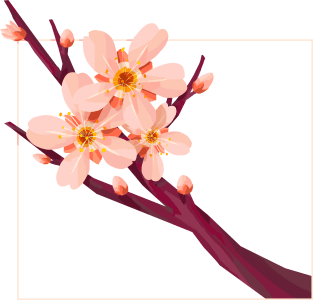 Cherry Plum Blossom Flower Sakura Chinese Japanese Magnet