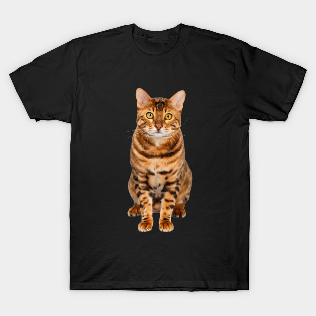 bengal cat t shirt