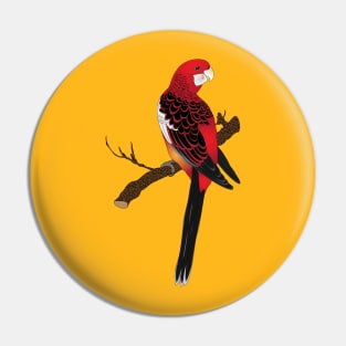 Pennants Parakeet Pin