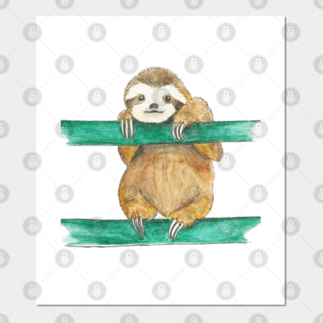 Baby Sloth Sloth Posters And Art Prints Teepublic