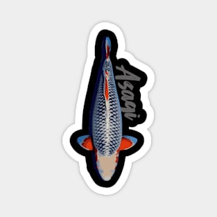 Asagi Koi Fish T-Shirt Magnet