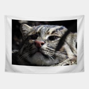 Fishing Cat Tapestry