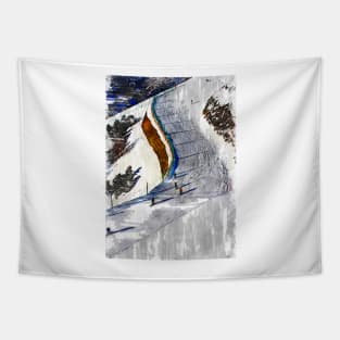 Ski Freestyle Abstract. For ski lovers. Tapestry