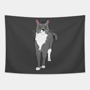 Gray and White Tuxedo Cat Tapestry