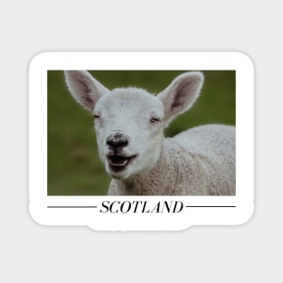 Scotland | Unique Beautiful Travelling Home Decor | Phone Cases Stickers Wall Prints | Scottish Travel Photographer  | ZOE DARGUE PHOTOGRAPHY | Glasgow Travel Photographer Magnet