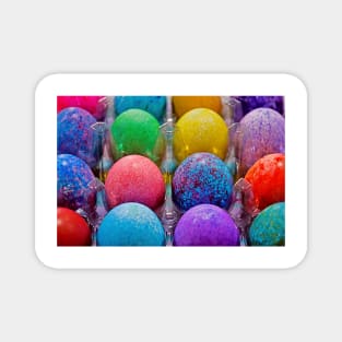 Easter Egg Study 2 Magnet