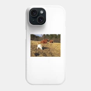 Scottish Highland Cattle Cows and cat 2359 Phone Case