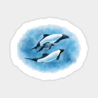 Commerson's Dolphin Family Magnet