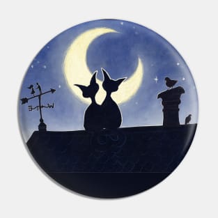 Moonlight Serenade Pin