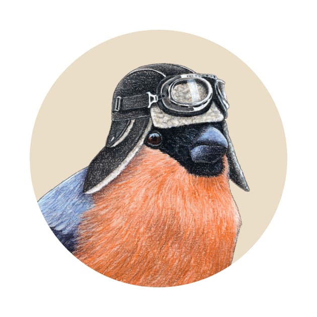 Eurasian bullfinch by Mikhail Vedernikov