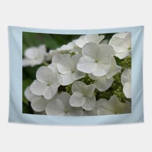 White flowering tree cluster of flowers photographic image Tapestry