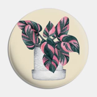 Philodendron Pink Princess Pin