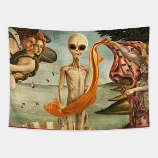 Birth of mars Tapestry