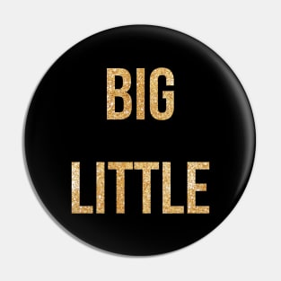 Big Little Gold Pin