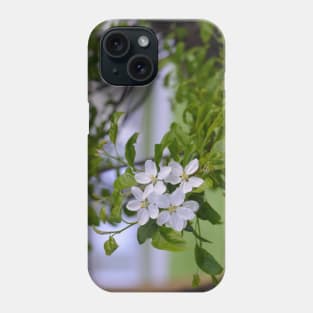 White Crab Apple Blossoms Phone Case