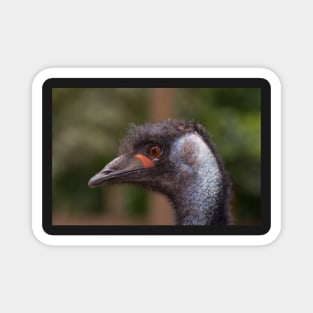 Emu Magnet