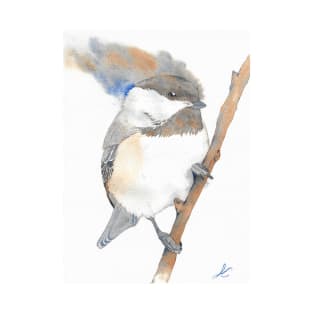 Black-capped Chickadee Poecile atricapillus watercolor portrait white T-Shirt