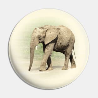 African elephant Pin