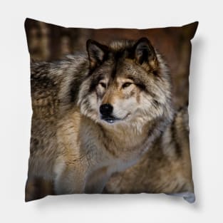 Timber Wolves Pillow