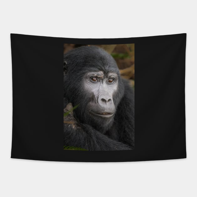 Gorilla II Tapestry by njones