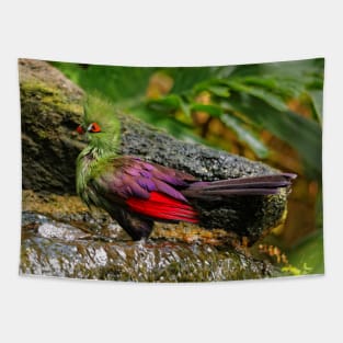 Profile of a Guinea Turaco at the Waterfall Tapestry