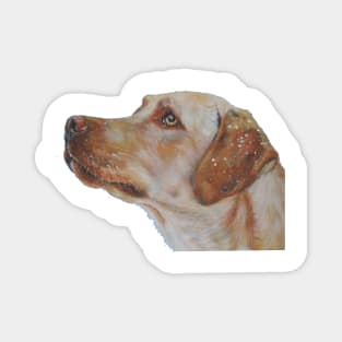 Labrador Retriever Fine Art Painting Magnet