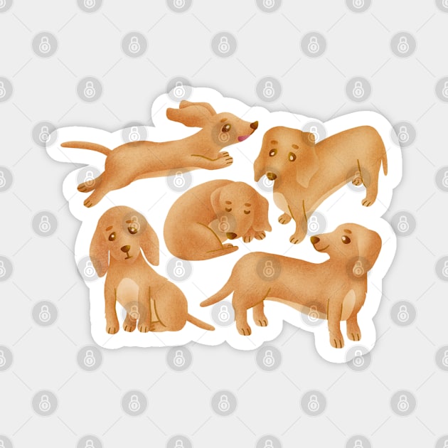 Dachshund.(Wiener dog). Magnet by CleanRain3675