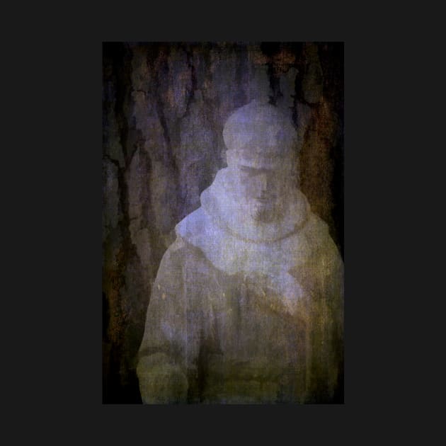 Saint Francis by secretgardener