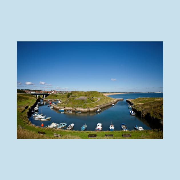 Seaton Sluice Summer Sunshine by Violaman