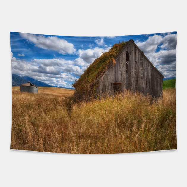 Remnants of Farm Life Tapestry by StacyWhite