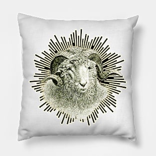 Cute little sheep with the twisted horn is looking at us Pillow