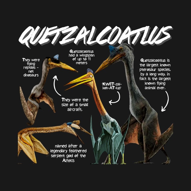 Quetzalcoatlus Fun Facts by Animal Facts and Trivias