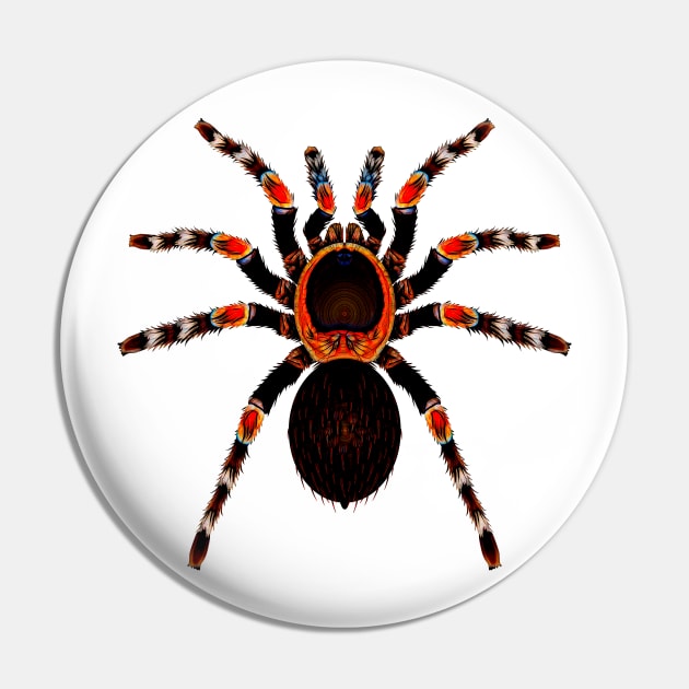 Funky Tarantula Spider Pin by crunchysqueak