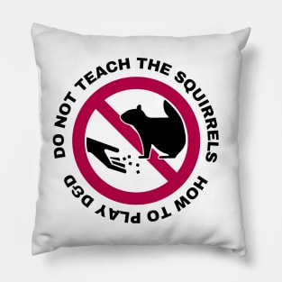 Do Not Teach The Squirrels How to Play DnD Pillow