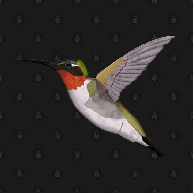 Hummingbird Bird Art Birdlover Birdwatcher Animal by jzbirds