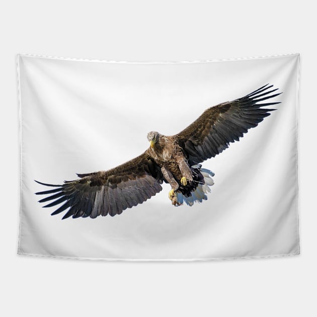 Eagle Hunt Tapestry by kawaii_shop