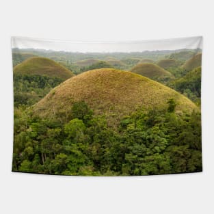 The Chocolate Hills, Carmen, Bohol, Philippines Tapestry