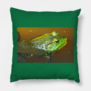 "Pluck your magic twanger, Froggy!" Pillow