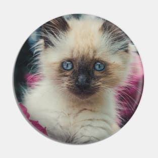 Cute kitty Pin