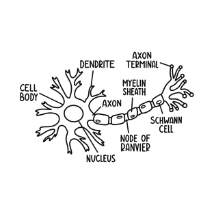 Neuron Diagram In Black T-Shirt