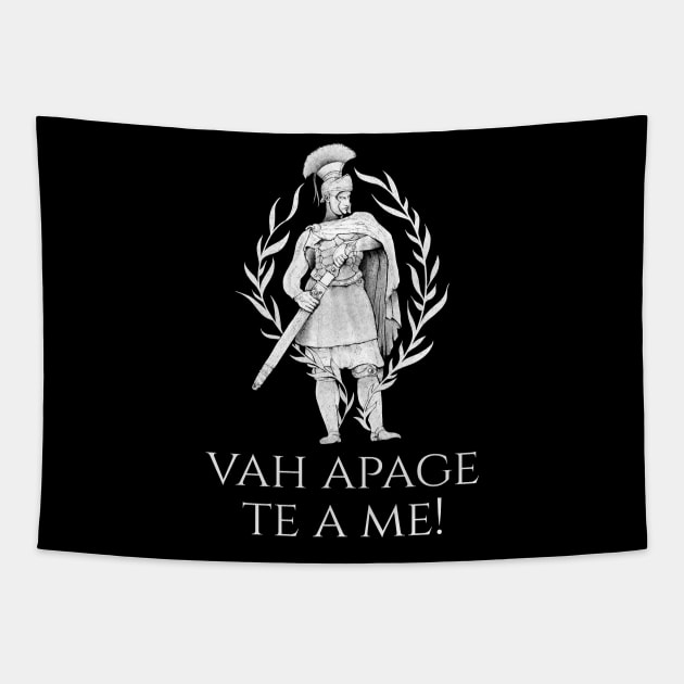 Latin Language - Go On, Get Away From Me! -  Roman Insult Tapestry by Styr Designs