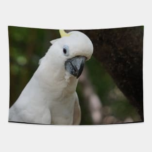 Cockatoo Drinking Tapestry